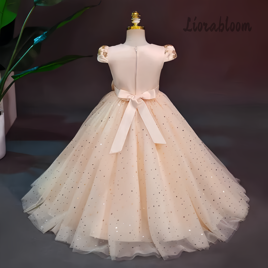 Formal Multicolor Evening Gown – Formal Wear Gowns For Women Bewertung und Preis