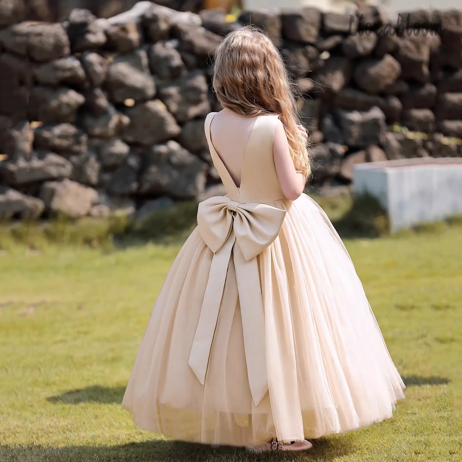 Multicolor Backless Princess D – Formal Wear Gowns For Women Bewertung und Preis